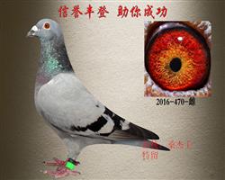 ɣʿ