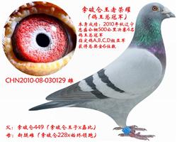 ҫ-ھ
