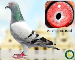 йһԭ᣺һԡ
