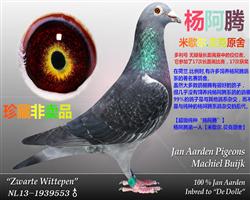 ڡؿʦ-䡷