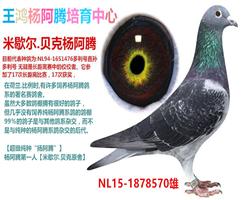 ������ڣ�������˫ǹ��-��ƽ ��