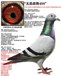 Ȼ