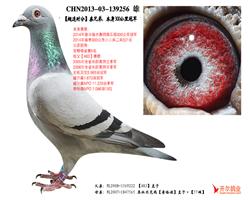 ������ʱ�֡����ֵܣ�����300����ھ�