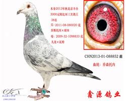 ̨38