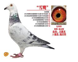 ѩӥ