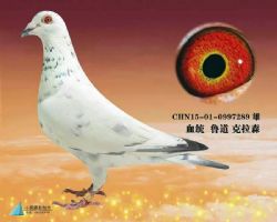 ³��.����ɭ