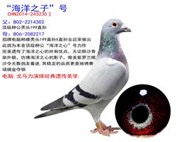 ֮ӡ