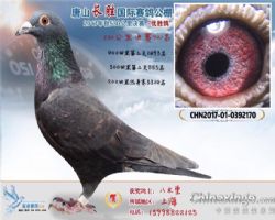 ɽʤ빫721