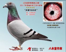 ļ빫ؾ166