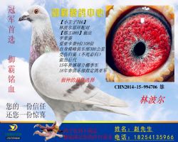 CHN2014-15-994706--