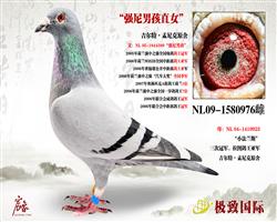 롰ǿкֱŮ