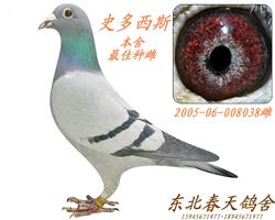 졿ʷ˹