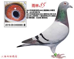 85