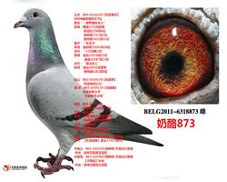 Ұոƽ