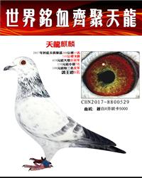 /رȻھ