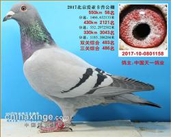 55058FCIվ6λ