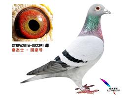̨ɣʿҺ