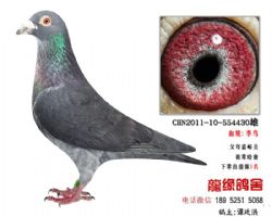 ԶϹѪƷָ5