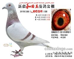 ½빫87