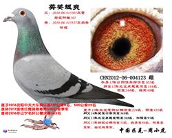 507ֱŮ---123