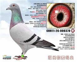 1327ĸ