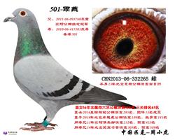 501ֱŮ