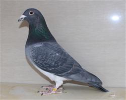 ������������