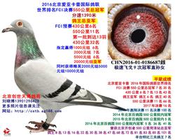 ǿոǾ FCIھ