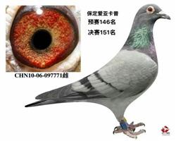 	ֱϵ771