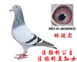 ֱֲ漣32