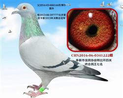 ĹظλҼ