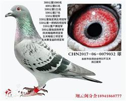 11ھ