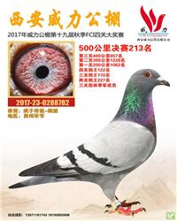 ����213��������������