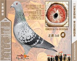 568