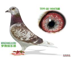 731ֱŮ