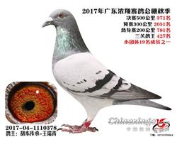 㶫Ũ蹫371