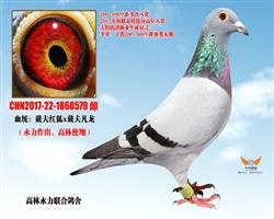 Ѫ17رǾԱ