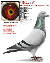 ӾƷ֮