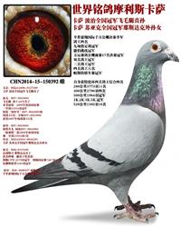 Ȼ