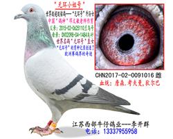 ޻Ů