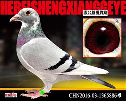 CHN2016-03-1365886