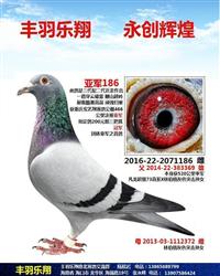 蹫Ǿ