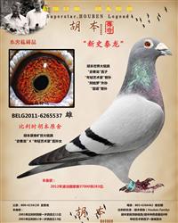 ����ԭ�� ��ʷ̩����X����������Ů��