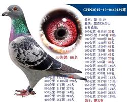 25λ񽱸