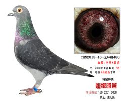 ԶϹѪԾƷָ6
