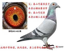 Ǿعھ