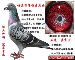 ����ɣ��ʿ�ָ�