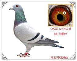 122*罿 
