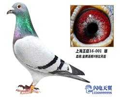 Ϻķرȡ