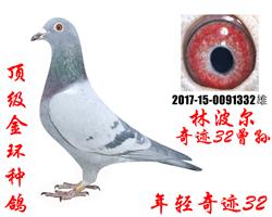 漣32ֲ𻷶ָ